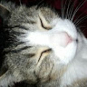 Meet your Posher, Benjamin